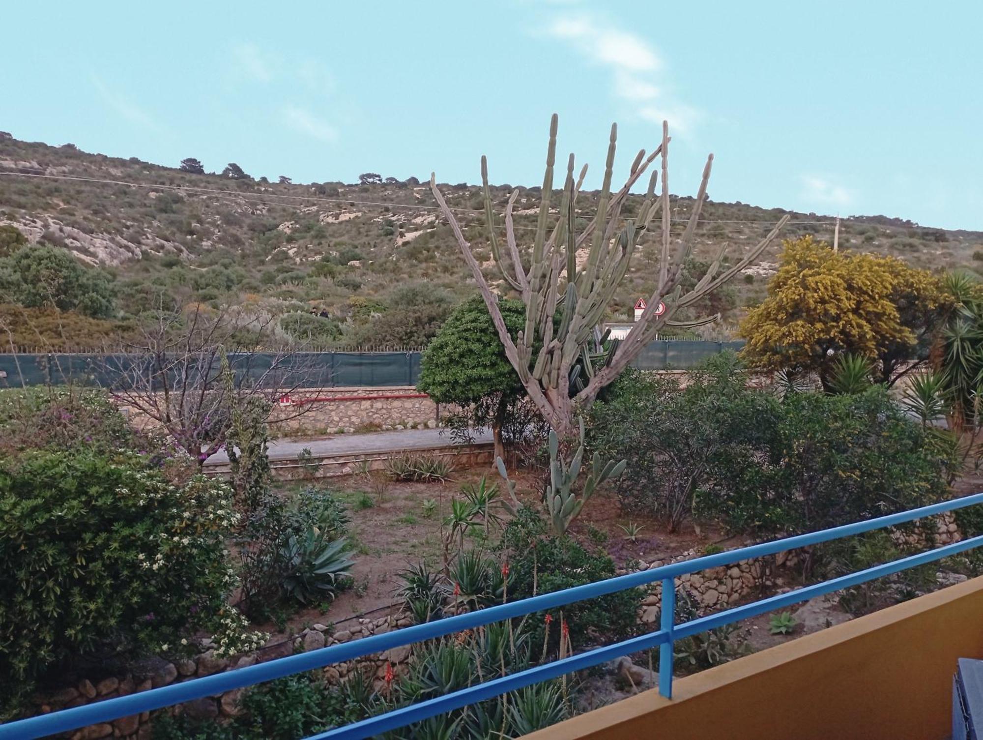 Calamosca 3*