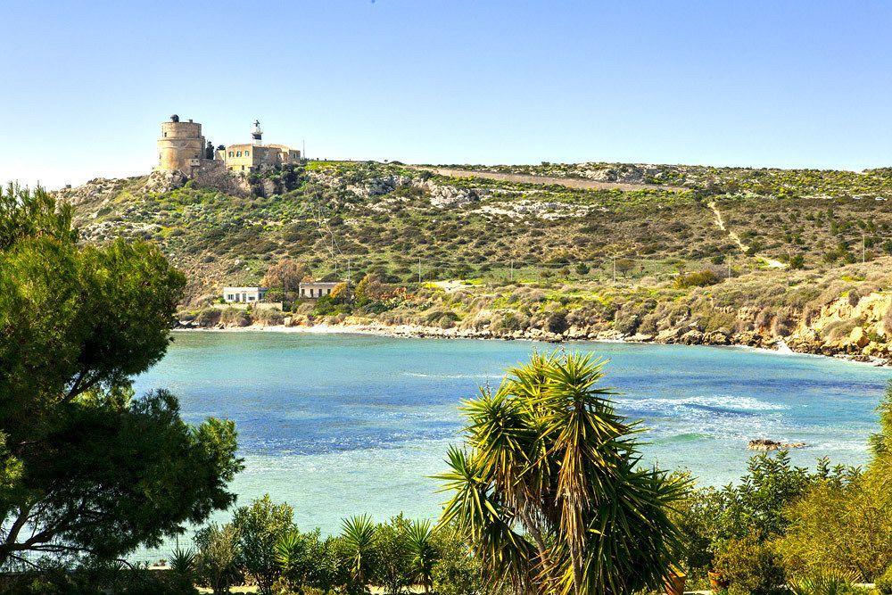 Calamosca 3*